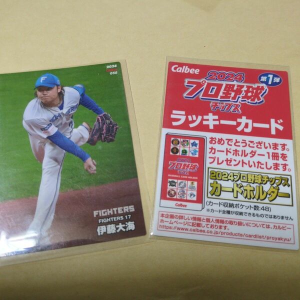 プロ野球チップス2024☆ 伊藤大海☆ラッキーカード