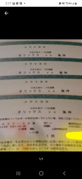 6月12日(水)　オリックスVS阪神　レフト上段1列目通路側　大人2枚子供4枚