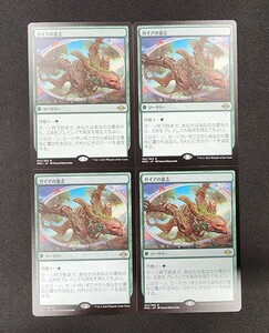 MTG　ガイアの意志　日本語版　4枚セット　モダンホライゾン2