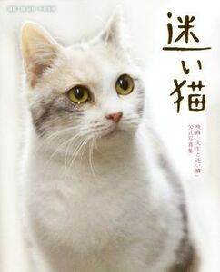迷い猫 映画「先生と迷い猫」公式写真集／関由香(著者),中岡美樹(著者)