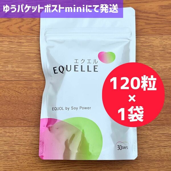 大塚製薬 EQUELLE エクエル パウチ 30日分(120錠) 大塚製薬 1袋 エクエル 大豆イソフラボン 大塚製薬 1袋