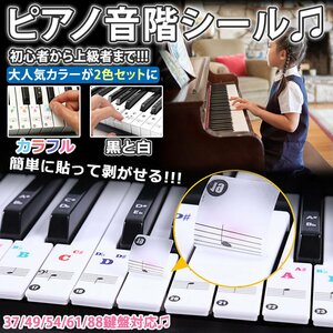2 color set 88/61/54/49/37 keyboard key piano seal keyboard sticker sound floor seal black white color 88 keyboard piano practice for 88PIASTE-SET