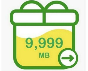 mineo パケットギフト 10GB（9999MB）
