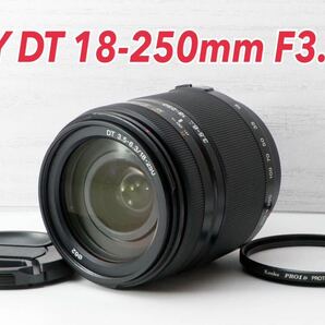 ★SONY DT 18-250mm★純正高倍率レンズ●Aマウント 1ヶ月動作補償あり！