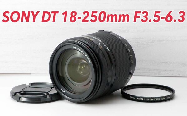 ★SONY DT 18-250mm★純正高倍率レンズ●Aマウント 1ヶ月動作補償あり！