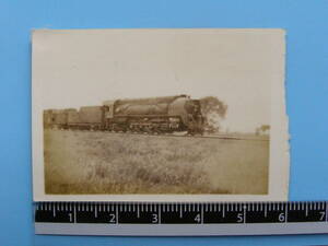 (J53)346 写真 古写真 電車 鉄道 鉄道写真 蒸気機関車