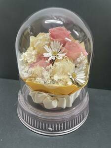 * collector стоит посмотреть стекло купол консервированный цветок цветок украшение интерьер произведение искусства орнамент коллекция M554