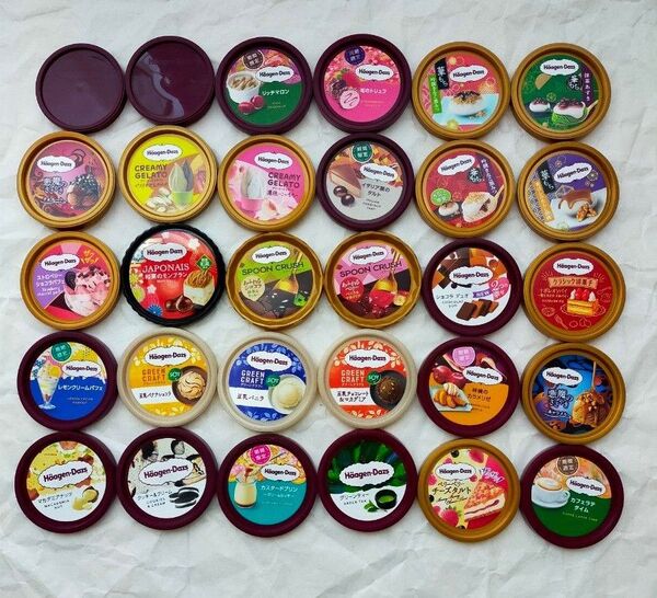 ハーゲンダッツ 蓋 29種 30個
