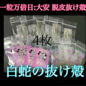 白蛇の抜け殻巳年生まれが育てるヘビのお守り☆運気上昇【一粒万倍日:大安 脱皮抜け殻】