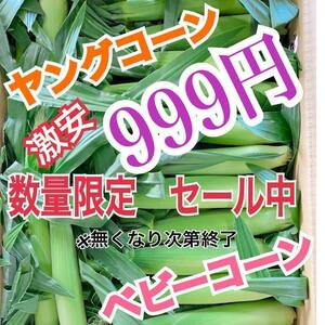 yh135 山梨県産　ヤングコーン　ベビーコーン　野菜　とうもろこし