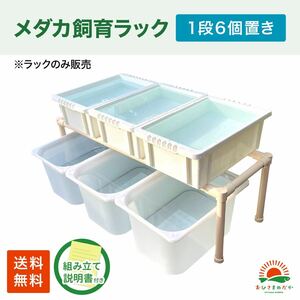 ★メダカ飼育白ラック　1段6個置き★ めだか飼育棚NVBOX13 めだか容器産卵撮影 ビオトープゾウリムシPSB針子タマミジンコにどうぞ