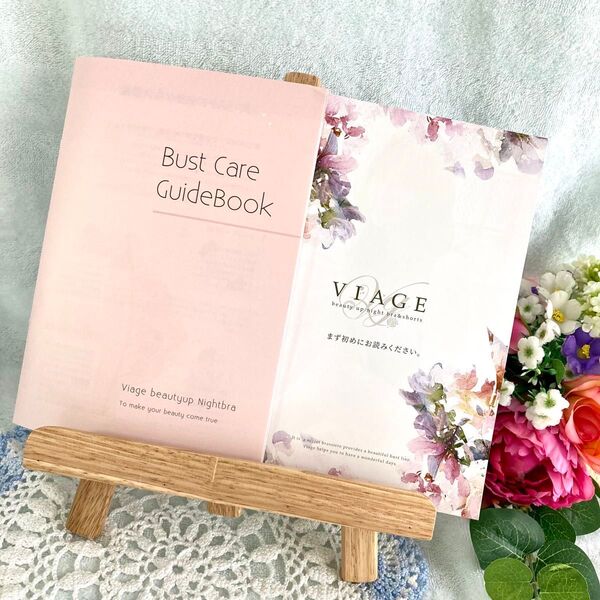 【美品】VIAGE ナイトブラ ベストケアガイドブックセット