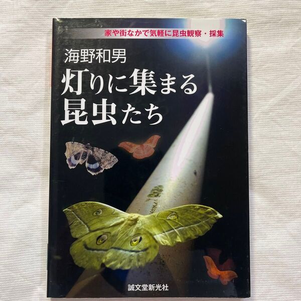 灯りに集まる昆虫たち 家や街なかで気軽に昆虫観察・採集 (家や街なかで気軽に昆虫観察・採集) 海野和男/著