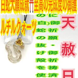 巳 ヘビ 十二干支 金運 財運 チャーム メモリーオイル 第3チャクラ 白蛇の抜け殻 脱け殻 ルチルクォーツ 白蛇のお守り【天赦日ご祈祷】24
