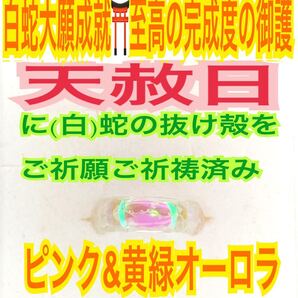 1個≪3号~27号 希望サイズ発送≫白蛇の指輪お守り【天赦日ご祈祷済】御神環 メモリーオイル 白蛇の抜け殻 リング 脱け殻 全チャクラ 22