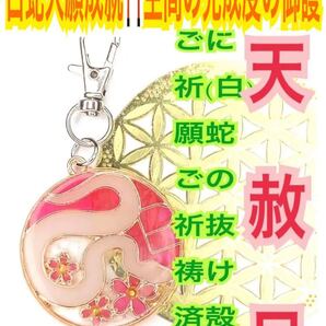 干支 巳 ヘビ ピンク 干支 白蛇の抜け殻 脱け殻 白蛇のお守り【天赦日ご祈祷済み】メモリーオイル 財布 第4チャクラ キーホルダー 34