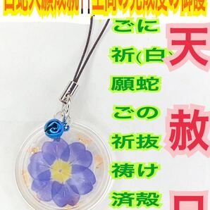 白蛇の抜け殻 脱け殻 ストラップ 花 チャーム 桃 メモリーオイル 強力な白蛇のお守り【天赦日ご祈祷済み】財布 招福鈴 第6チャクラ 23