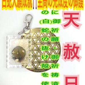 白蛇の抜け殻 孔雀の羽 緑 羽毛 キーホルダー メモリーオイル 脱け殻 金運上昇 恋愛運 財運 白蛇のお守り【天赦日ご祈祷済み】財布 23