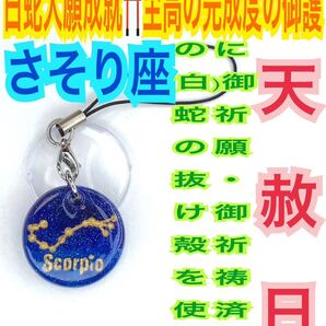さそり 蠍座 星座 白蛇の抜け殻 脱け殻 黄道十二星座 メモリーオイル 宇宙銀行 チャーム パワー 白蛇のお守り【天赦日ご祈祷済】明青紫28