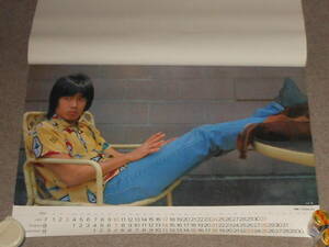  Nagabuchi Tsuyoshi, Matsutoya Yumi, Kay Band, high fai set, Off Course, tulip,1983 year, Toshiba, Sakai Noriko, Koizumi Kyoko,1991 year, Victor, calendar 