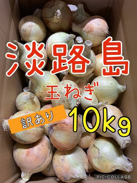 淡路島新玉ねぎ 訳あり 10キロ 送料込み！農家直送！