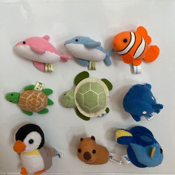 動物マグネット