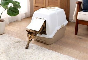 новый товар @1 неделя расположение комнат изменение ... кошка туалет TIO-530FT белый / бежевый [ товары для домашних животных туалет кошка ]