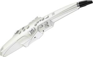 ■新品・送料無料・アウトレット特価・Roland ローランド Aerophone AE-10 エアロフォン ウィンド・シンセサイザー