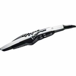 ■箱汚れアウトレット★新品・送料無料・Roland Aerophone AE-20 Digital Wind Instrument