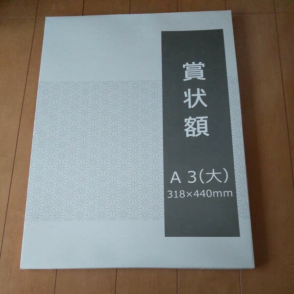 額 A3 未使用 開封のみ