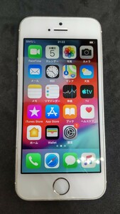 A180 docomo iPhone 5s A1453/ME333J/A 16GB apple スマートフォン 簡易動作確認＆簡易清掃＆初期化OK 判定〇 送料無料