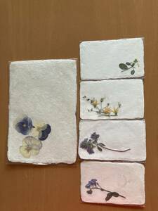 押し花美濃手漉き和紙に押し花をアレンジしましたポストカードとメッセージカード