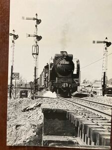 昭和鉄道写真：鹿児島本線を往くD51 255[熊本]牽引貨物列車。撮影時期場所不明。2Lの。