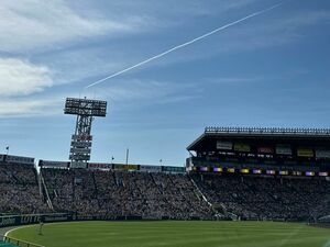 甲子園球場　対日本ハム戦振替試合および交流戦中止予備券セット　レフト指定席ペア2枚観戦チケット