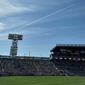 阪神甲子園球場　8月30日金曜日　対讀賣戦　レフト指定席２枚セット　阪神対巨人　18:00試合開始