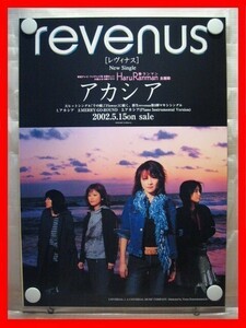 revenus（レヴィナス）/アカシア【未使用品】B2告知ポスター(非売品)★送料＆筒代無料★