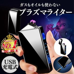 電子ライター USB充電式 ダブルアークライター プラズマライター 高級感抜群 近未来的 小型 防風 #091