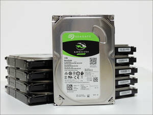 Seagate 3.5インチHDD ST1000DM010 1TB SATA 10台セット #12343