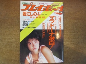 1906TN●週刊プレイボーイ 1987昭和62.1.27●堀江しのぶ/マラドーナ/渡辺美里/田村隆一/シオン/開高健/小林あい/佐々木彩/北見沢唯