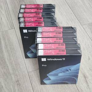 【10BNDQ】Microsoft Windows 11 Pro 新品 未使用 未開封 正規品 USB版 10点セット