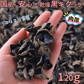国産.安心・肉厚・乾燥黒キクラゲ(120g)