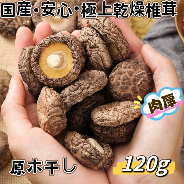 超人気・国産・肉厚・美味しい・原木干し椎茸　　(120g)