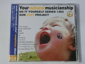 Kml_ZC7598／Your natural musicianship　Do It Yourself Series #203 （未開封）