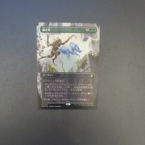 MTG 歯と爪 CMM 日本語 ボーダーレス foil 1枚