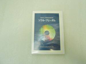 ソウルフリーダム 　ＤＶＤ　ほおじろ えいいち　DVD　Q-wave ヒーリング　DVD　魂　カルマ　浄化　エネルギー　自由　解放