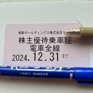 簡易書留無料 相鉄ホールディングス (相模鉄道) 株主優待乗車証 電車全線・定期券方式 