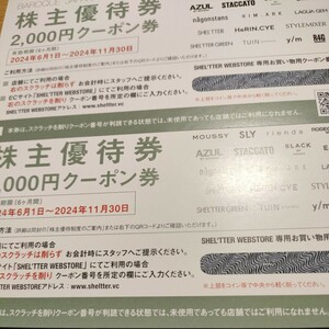 ba lock Japan limited stockholder complimentary ticket 2000 jpy minute ×2 sheets = total 4000 jpy minute.. have efficacy time limit 2024 year 11 month 30 day .. packet post Mini free shipping 