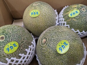  Kumamoto prefecture production [takami melon ]4 sphere entering want .. beautiful taste .. melon..