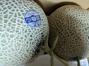  Miyazaki prefecture production 2L[ mask melon ]1,7 rom and rear (before and after) ×2 piece sphere entering 