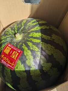 熊本県産2L【羅皇すいか】5.2前後×1玉とても美味しいスイカですのでよろしくお願いします。